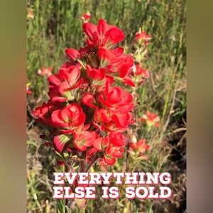 Thanks for stopping by! 💖 Everything is SOLD beyond here!